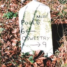 Milestone at Roadside to Se of Montgomeryshire Canal, A 483 , Ardd-Lin