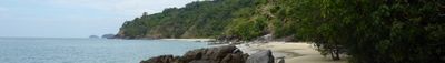 Panoramic View 1