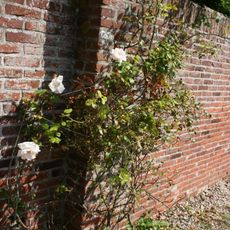 Vreugd en Rust: moesttuinmuur