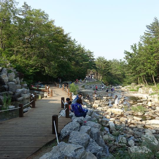 Gangneung Solhyang Arboretum