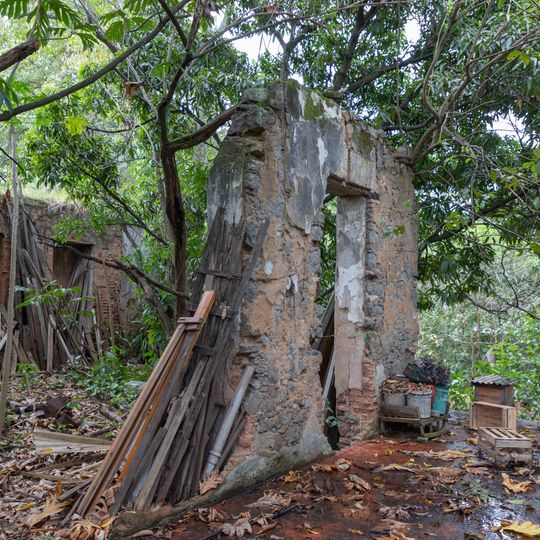 Ruins of Palácio Nestor Gomes
