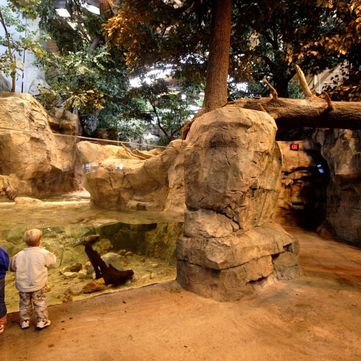 Johnny Morris' Wonders of Wildlife National Museum and Aquarium