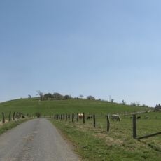 Feldberg