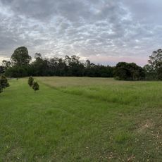 Warwick Farm Reserve