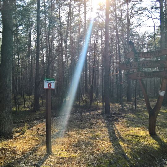 Centrum Edukacji Leśnej