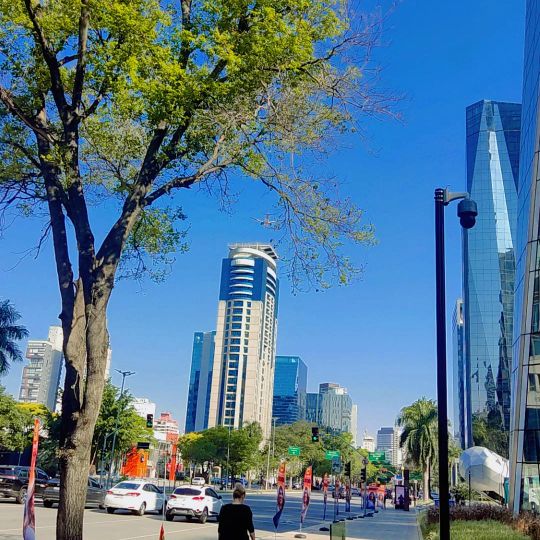 Brigadeiro Faria Lima Avenue
