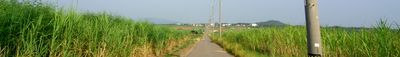 Panoramic View 0