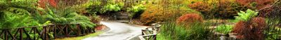 Panoramic View 0