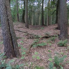 Burial mound Bornsen 6