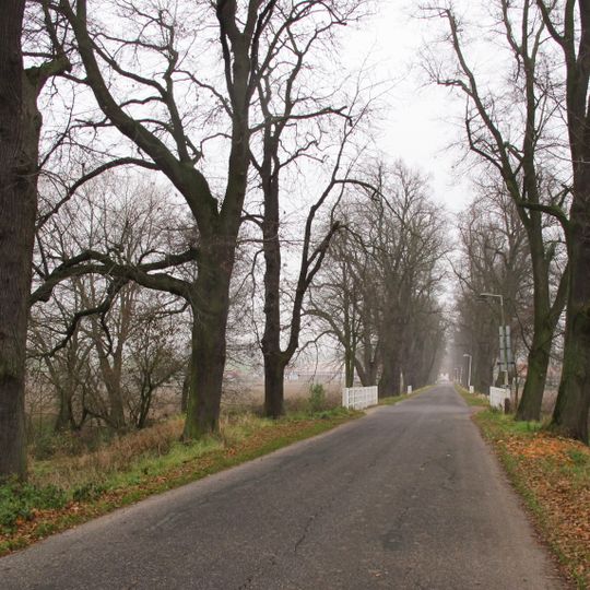 Alej v Sedmihorkách