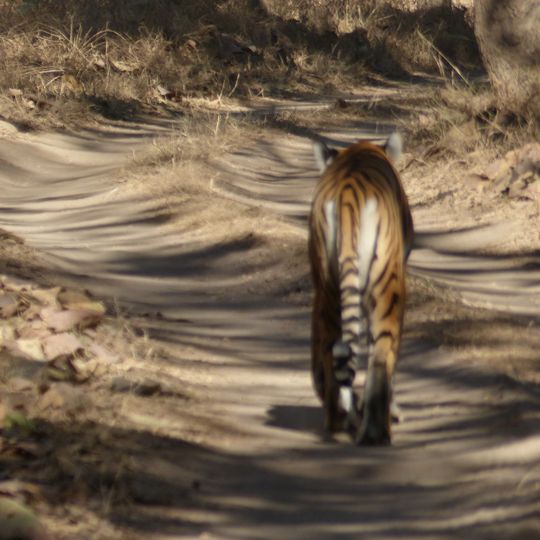 Pench-Nationalpark