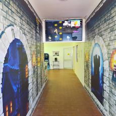 Museo dell'intrattenimento elettronico