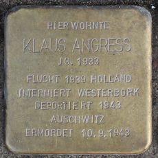 Klaus Angress