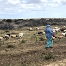Kismayo National Park