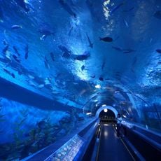 Bueng Chawak Aquarium