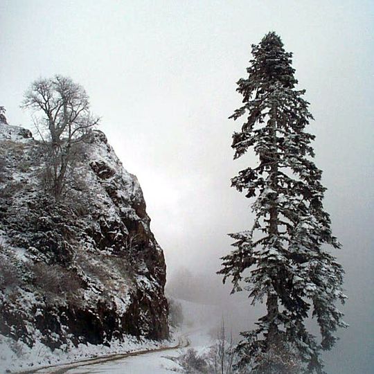 Kartalkaya