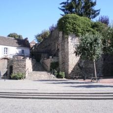 Punto di vista panoramico