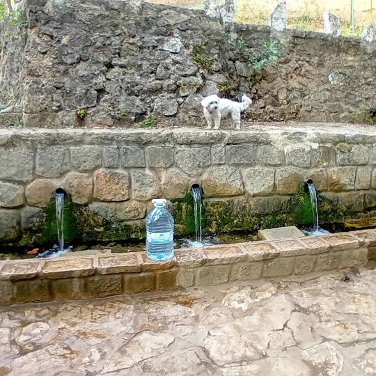 Camping Fuente de la Pascuala