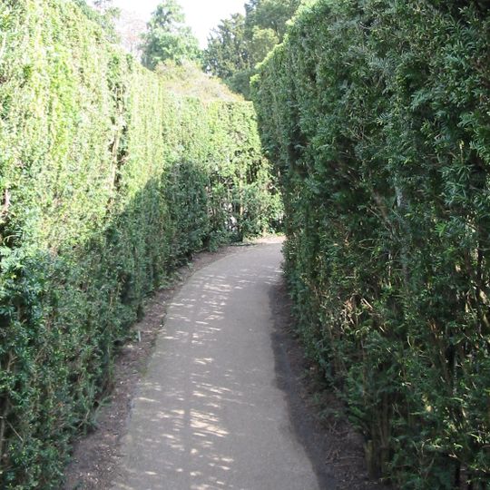 Labyrinthe de Hampton Court