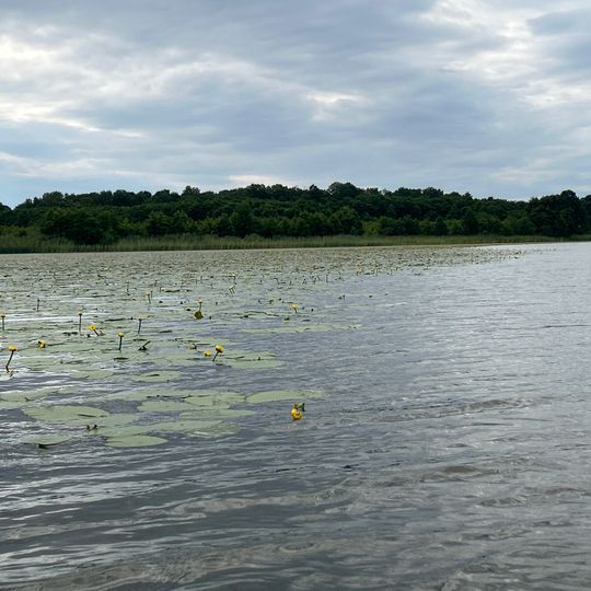 Tynnelsö Prästholmen