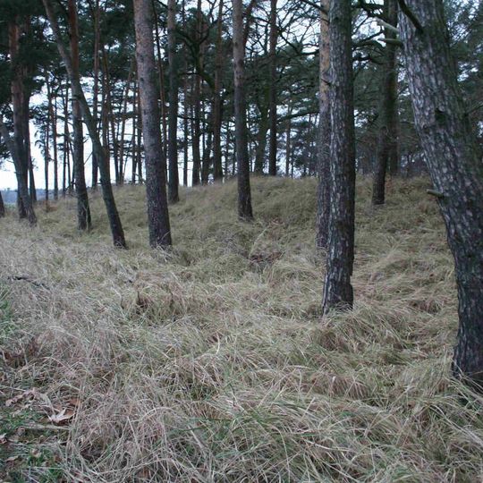 Burgwall Klessener Zootzen