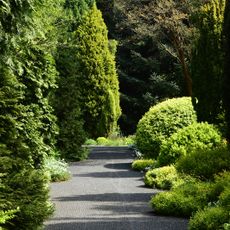 Arboretum Park Härle