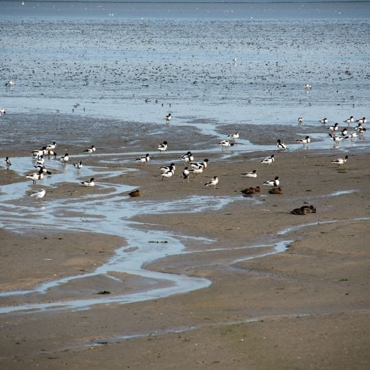 Nordfriesisches Wattenmeer