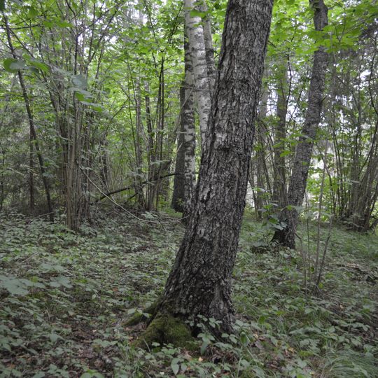 Fridrihovas pilskalns