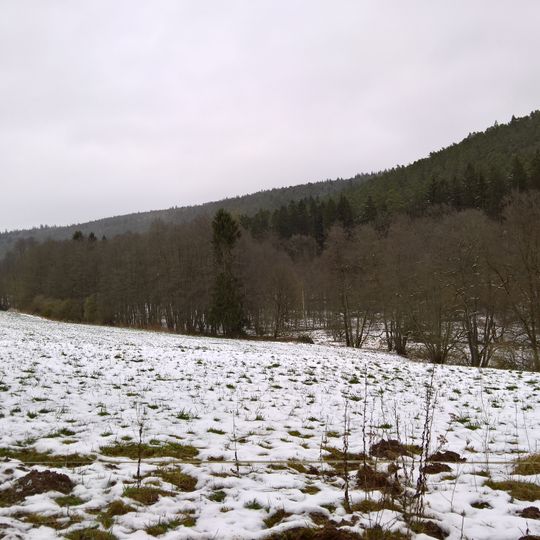 Geierstal von Vielbrunn