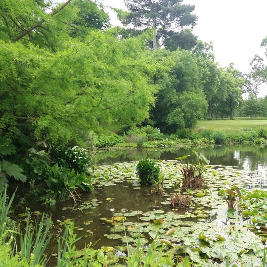 Pièce d'Eau des Nymphéas