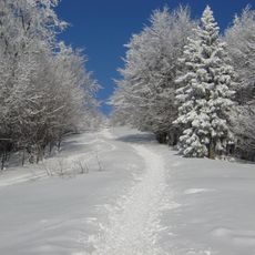 Kľačianska Magura (národná prírodná rezervácia)