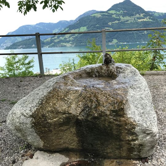 Brunnen Frosch