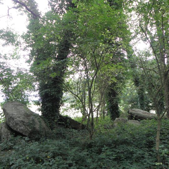 Allée couverte de Four-ès-Feins
