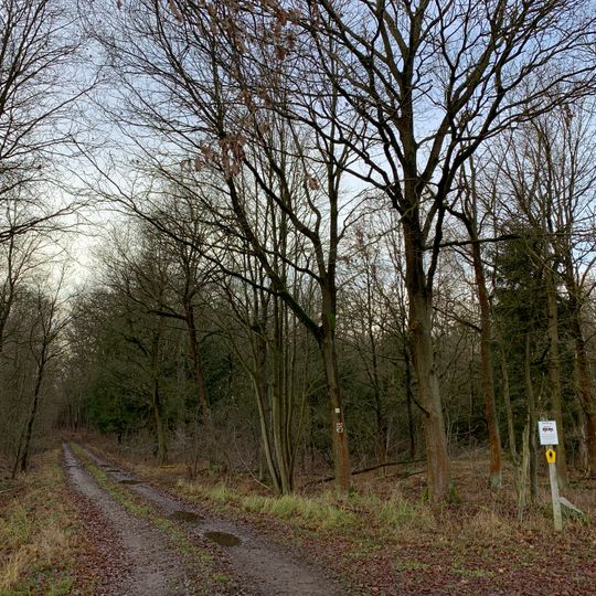 Teichlandschaft Buchwäldchen- Muckwar