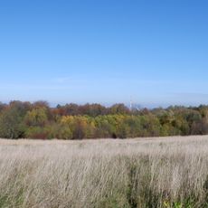 Zespół przyrodniczo-krajobrazowy "Sarni Stok"