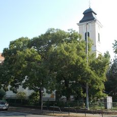 Saint Elisabeth of Hungary Church (Gyöngyös)
