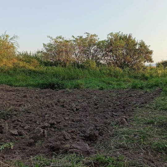 Stodoła z 1. poł. XIX w. w Mieszkowicach