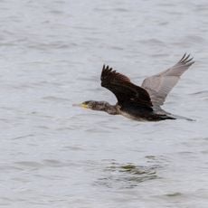 Wismarbucht und Salzhaff