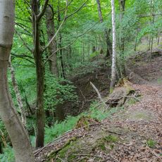 Hangwald Puckinger-Leiten