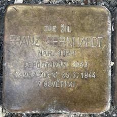 Franz Bernhardt