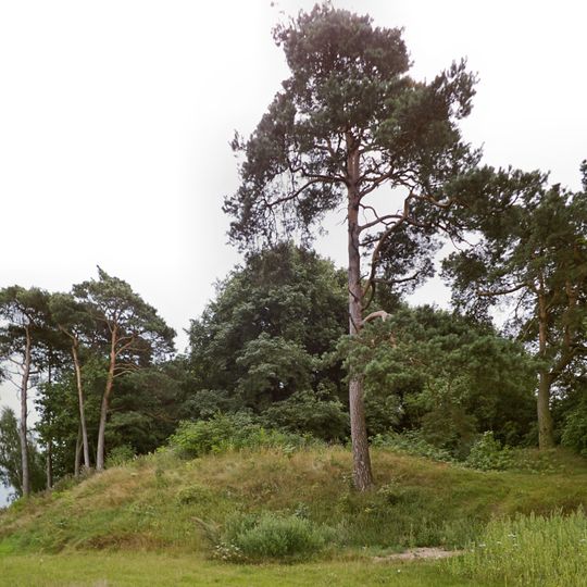 Laskowo, Chodzież County