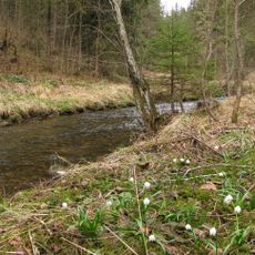 Illach von Hausen bis Jagdberg