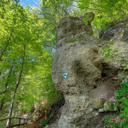 Nagelfluhfelsen am Kalvarienberg