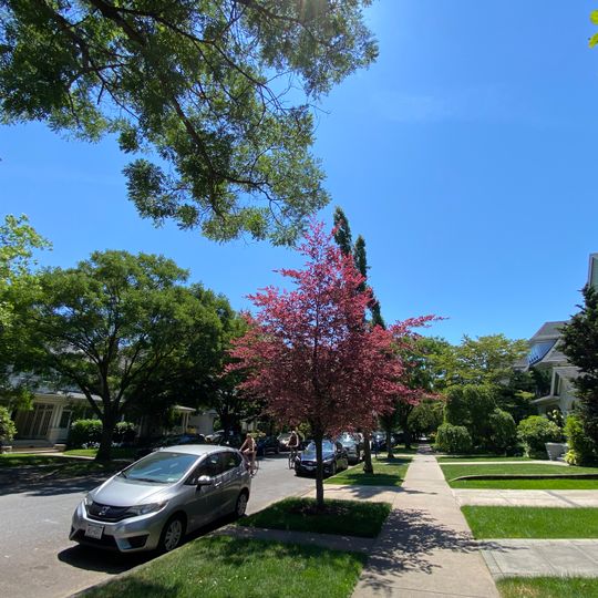 Ditmas Park Historic District