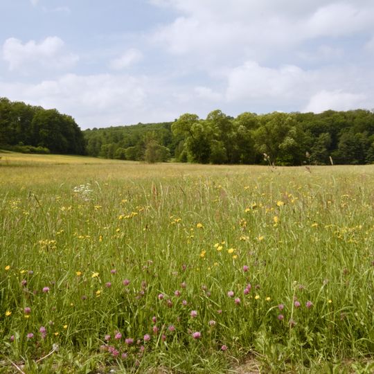 Dattenbachtal zwischen Kröftel und Vockenhausen