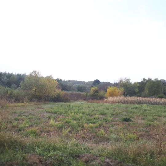 Новогребельський заказник