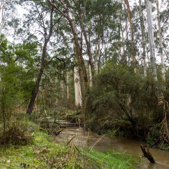 Yellingbo Nature Conservation Reserve