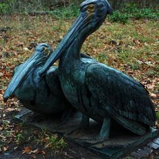Pelican couple