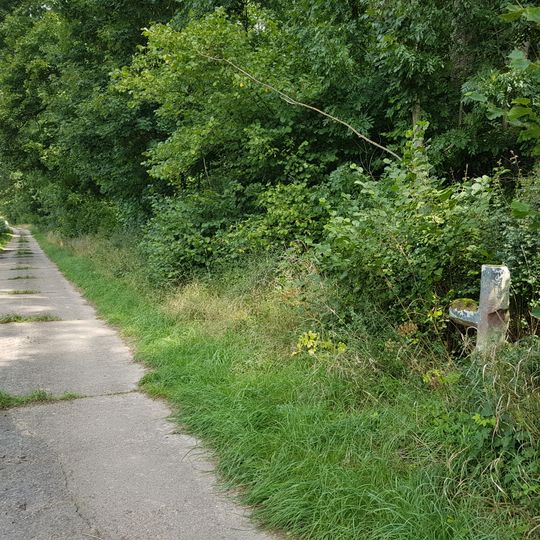 Sühnekreuz am Rande des Großholzes
