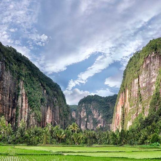 Harau